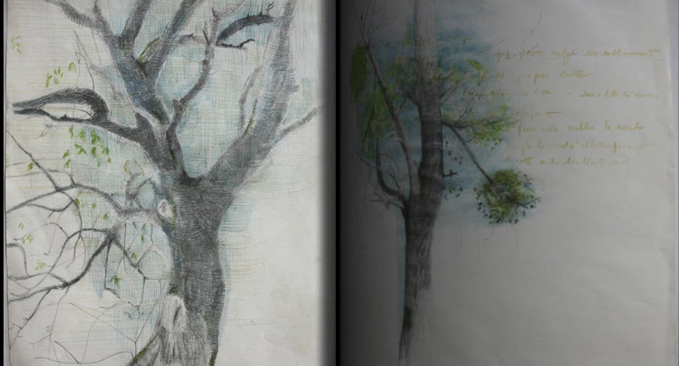 Etudes-2010